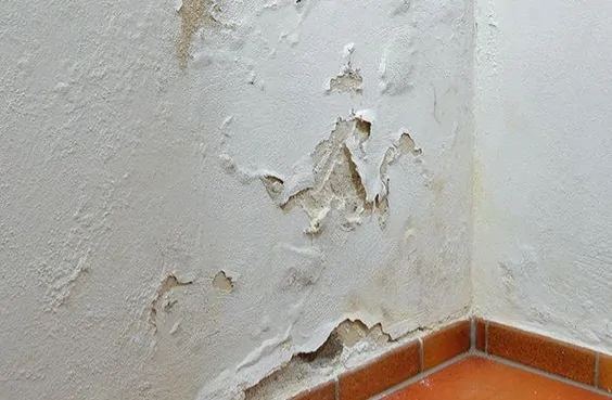 معالجة الرطوبة